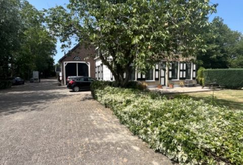 IMG_5959 normaal